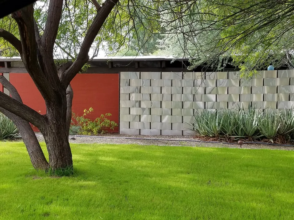Mid-Century Privacy Yard
